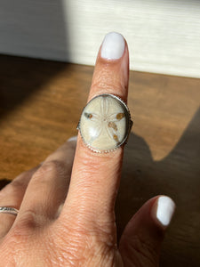 Sand Dollar Fossil Ring Size 5