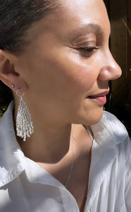 Silver Shine Beaded Earrings